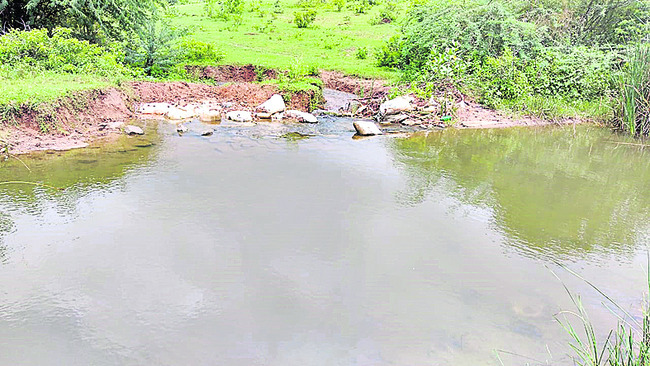 ఆరుతడికే పరిమితం1