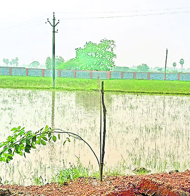 చెరువుకు గండి కొట్టేశారు!1