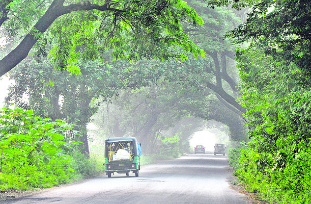 వర్షం ఆగింది.. నష్టం మిగిలింది 3