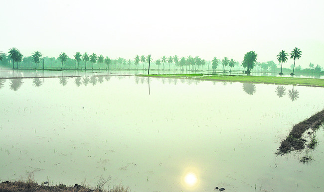 వర్షం ఆగింది.. నష్టం మిగిలింది 2