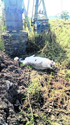 బోల్తాపడిన కారు
1