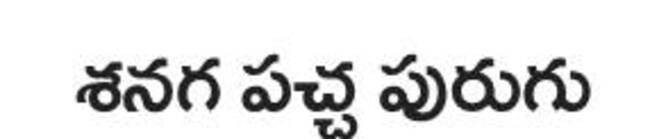  కందికి సస్య రక్షణ కీలకం1