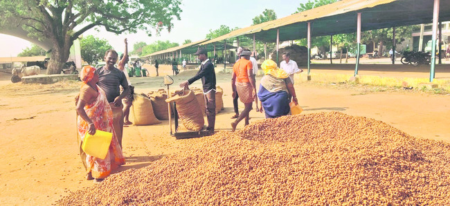 పల్లీకి డిమాండ్‌.. 1