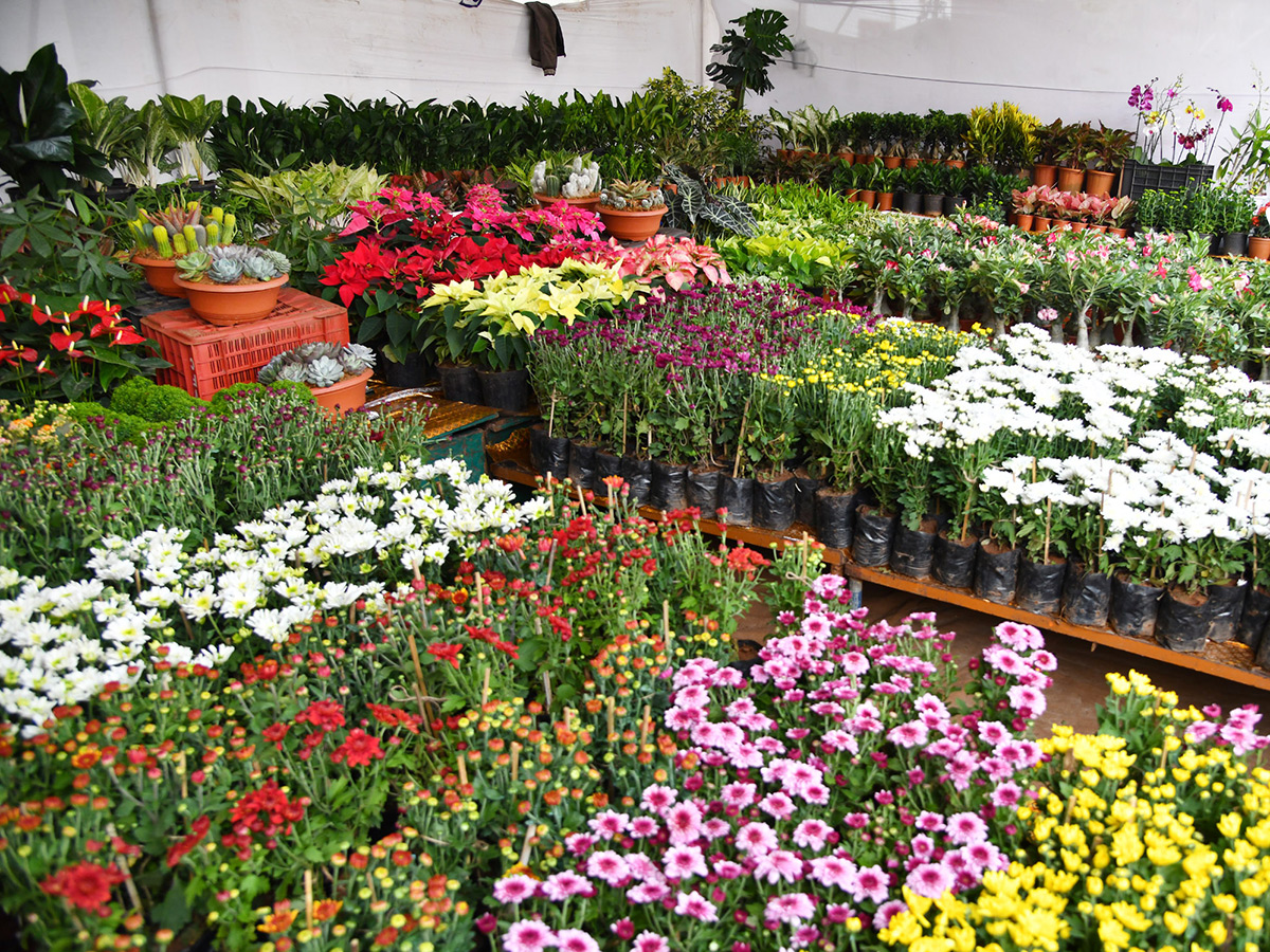 Impressive fruit and flower display at Vijayawada13
