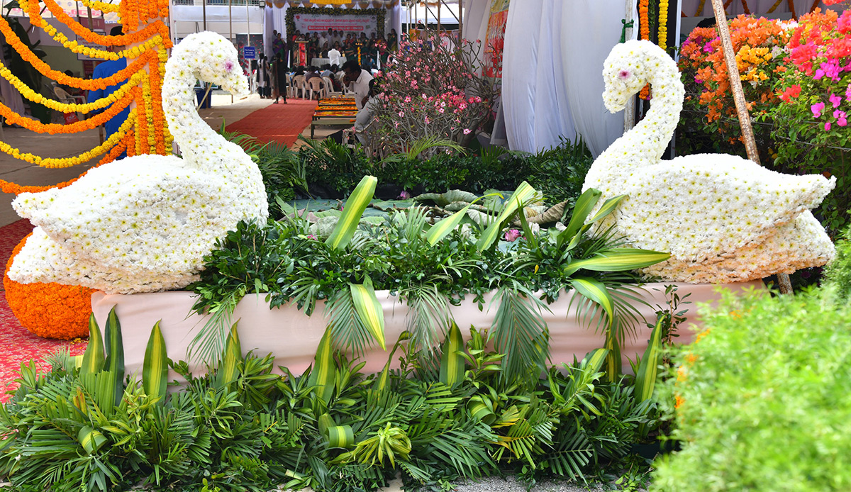 Impressive fruit and flower display at Vijayawada8