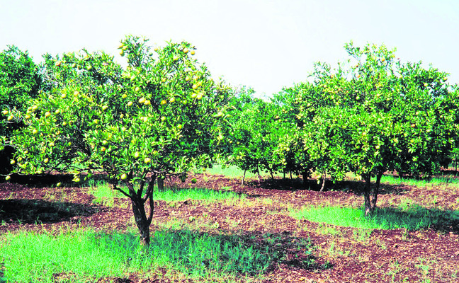 ● నియోజకవర్గాల తలసరి ఆదాయం 2