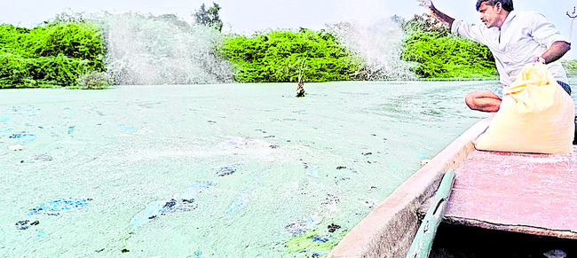 కోటప్పకొండలో ప్రారంభమైన ఆరుద్రోత్సవ పూజలు 2