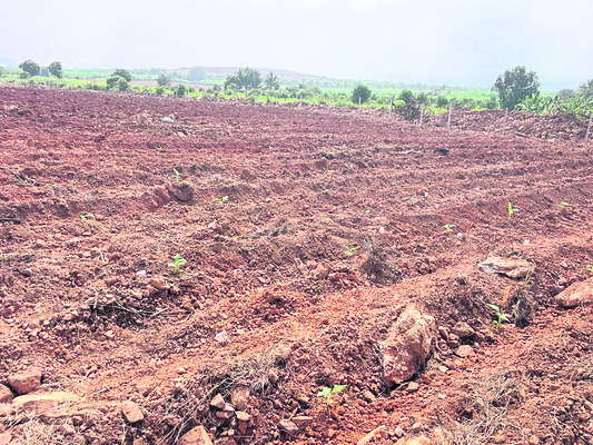 యథేచ్ఛగా భూ ఆక్రమణలు 1