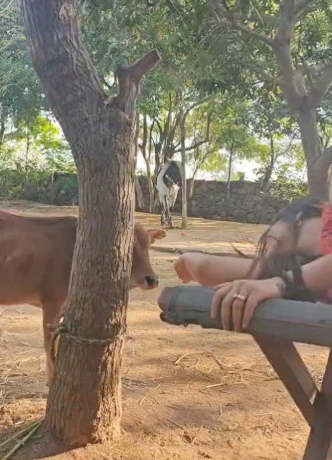 Anasuya Bharadwaj latest images7