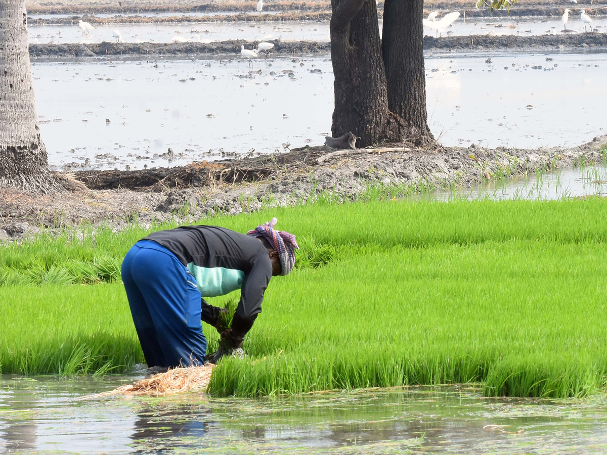 Best Photos of The Week in AP and Telangana Photo Gallery28
