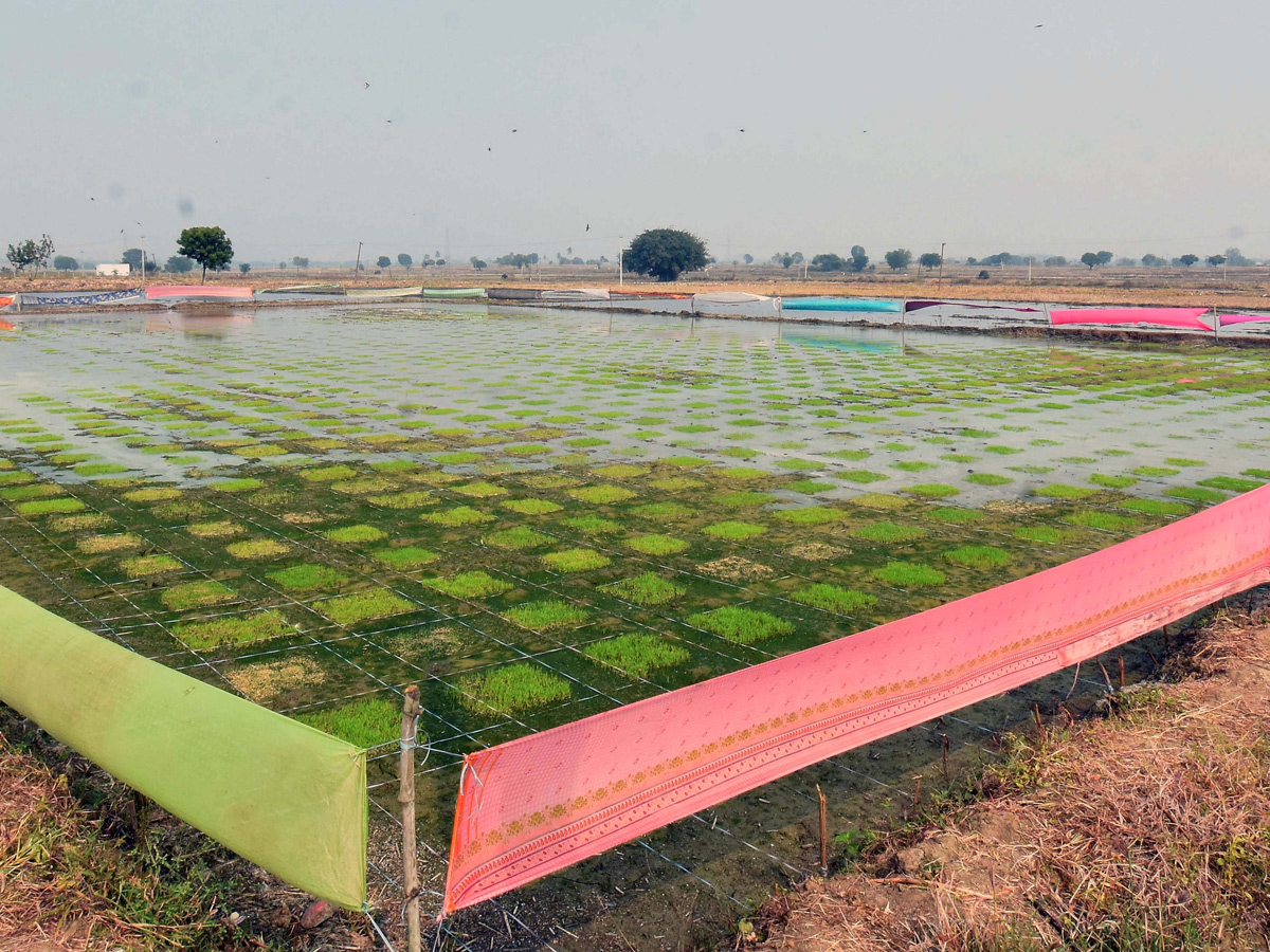 Best Photos of The Week in AP and Telangana Photo Gallery29