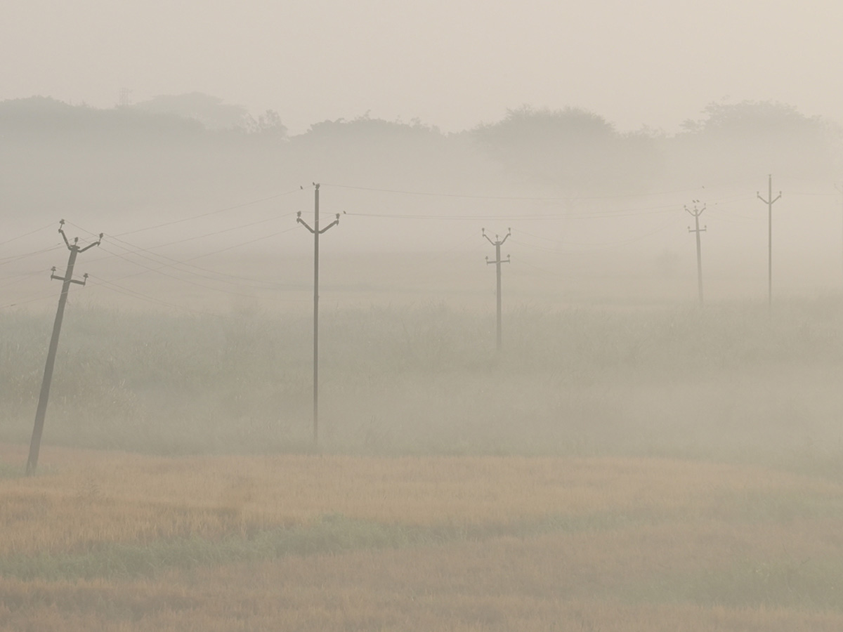 Best Photos of The Week in AP and Telangana Photo Gallery39