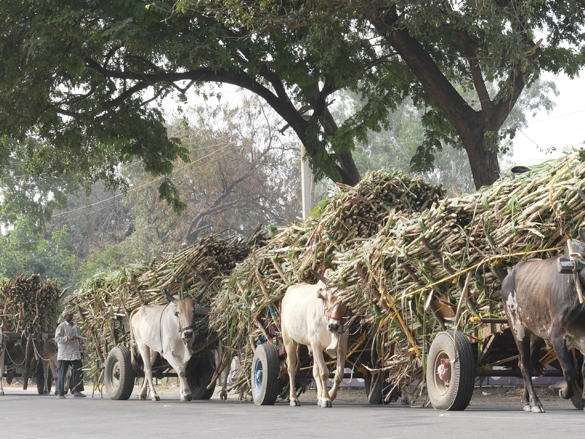 Best Photos of The Week in AP and Telangana Photo Gallery40