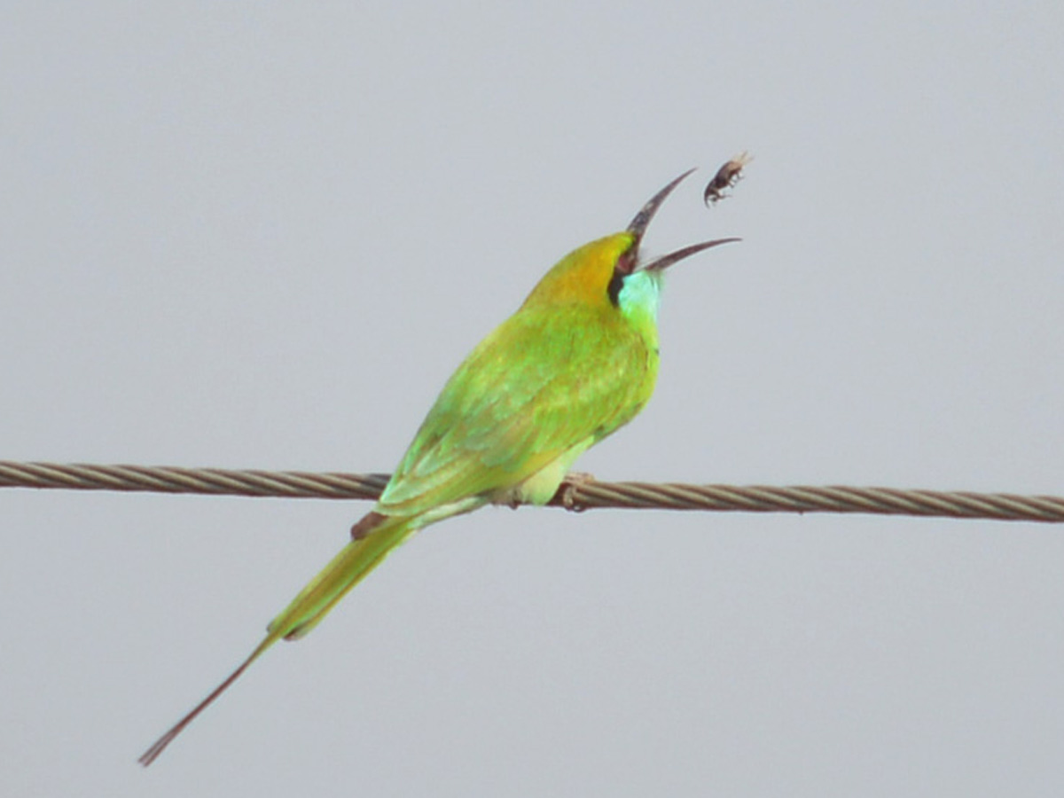 Best Photos of The Week in AP and Telangana Photo Gallery45