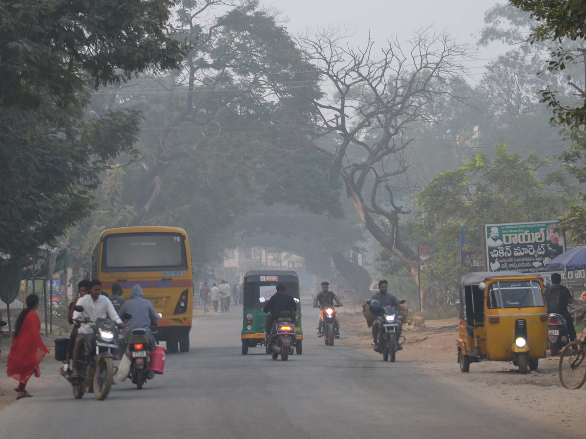 Best Photos of The Week in AP and Telangana Photo Gallery46