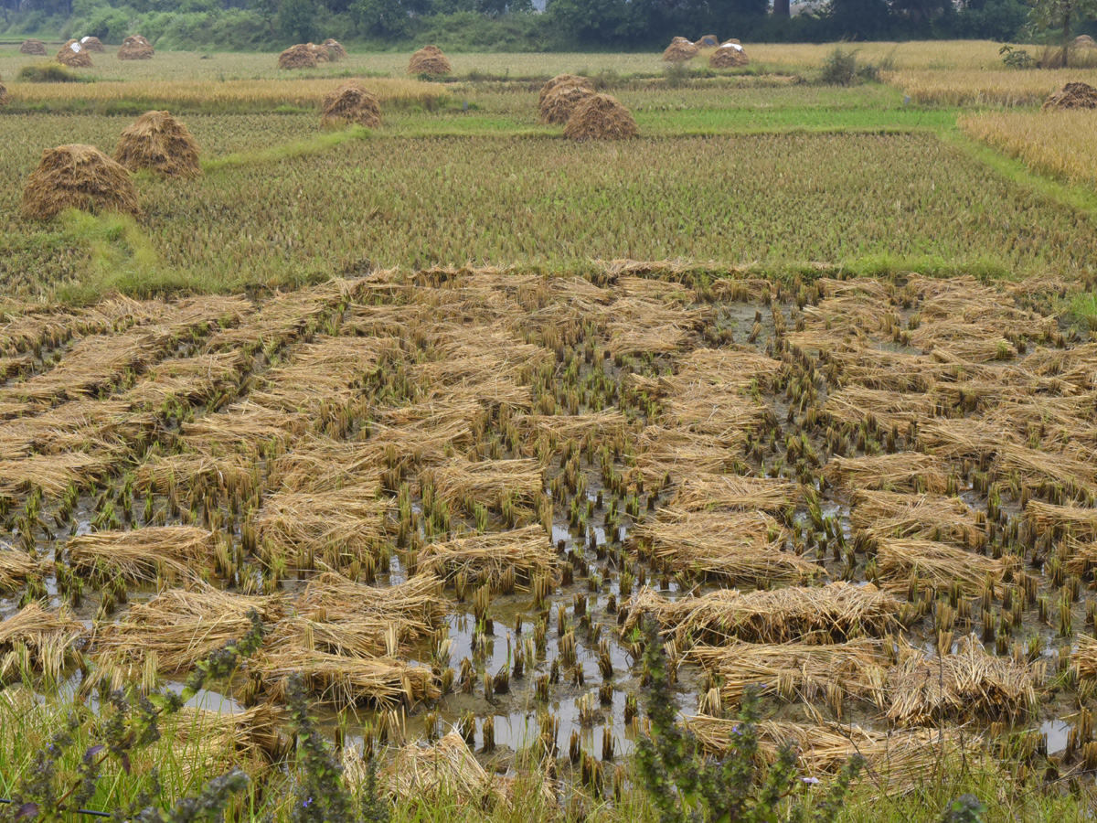Best Photos of The Week in AP and Telangana Photo Gallery49