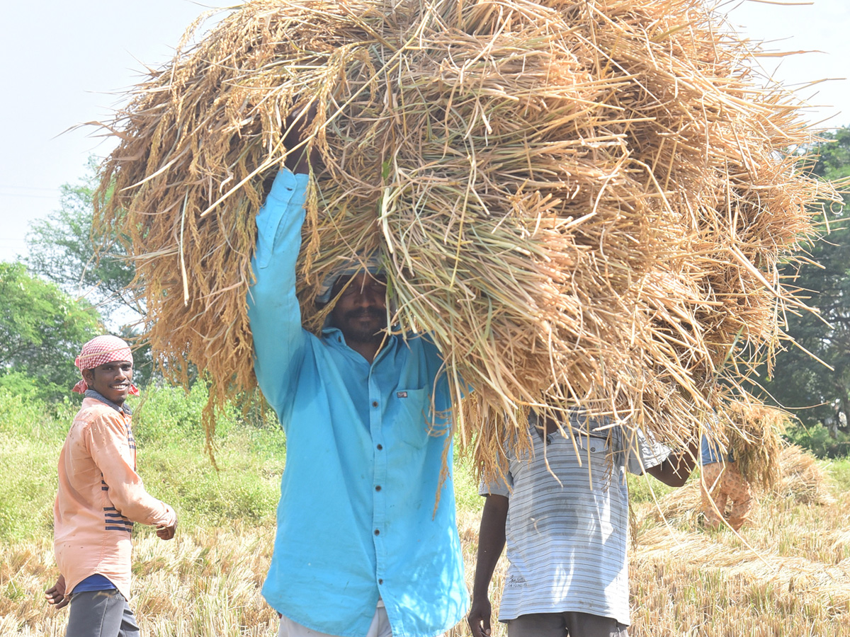 Best Photos of The Week in AP and Telangana Photo Gallery9