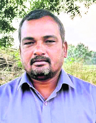 తగ్గిన ధాన్యం దిగుబడి 1