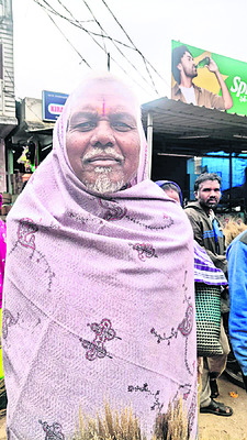 కొండ చీపురు2