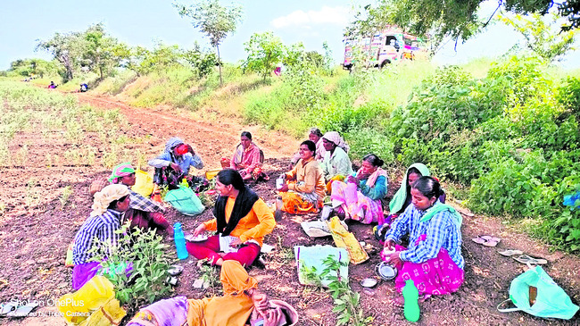  కమ్మని రుచులు.. కలసి తింటే..!1