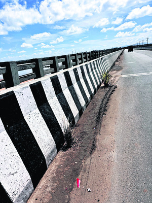 అమాత్యులారా మీరైనా..1