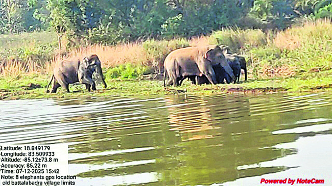 పడక దొరకదు.. 1