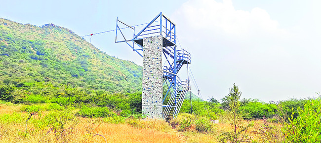 ఆటవిడుపు అడవిపాలు..! 1