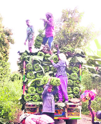 గెలవిల...1