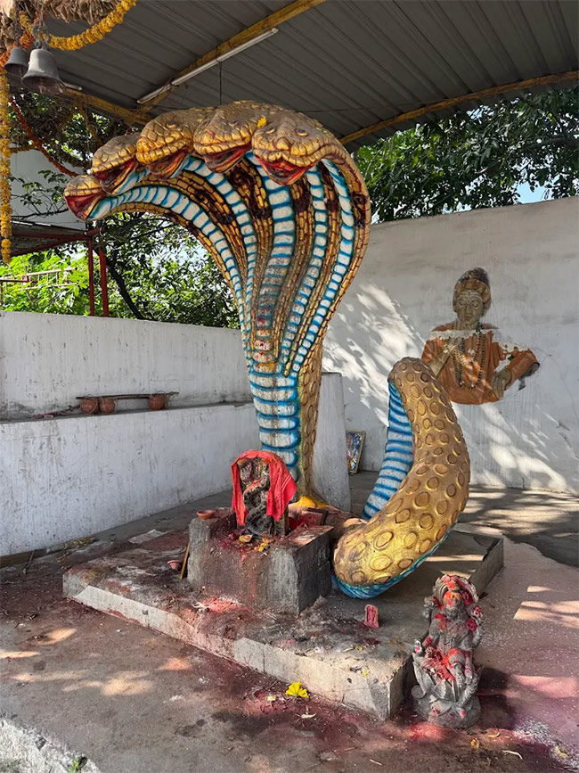 Sri Kanakadurga Kalimatha Temple At Miyapur Photos6