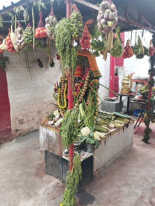 Sri Kanakadurga Kalimatha Temple At Miyapur Photos8