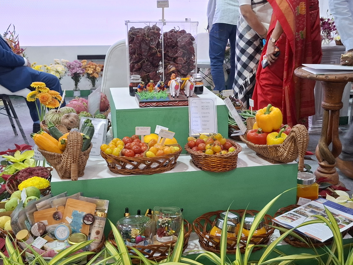 Telangana Hosts Rising Global Summit 2025 in Hyderabad Photos18