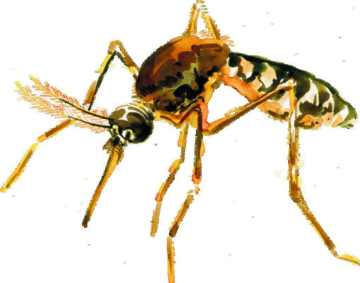 పల్లె వైద్యం..పేదలకు దూరం 1