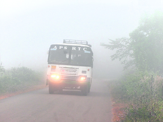 వణికిస్తున్న చలి 1