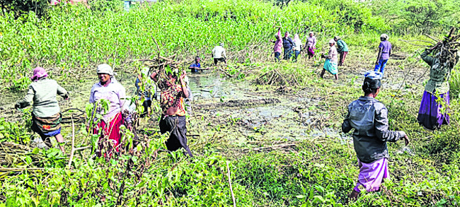 కలుపుగోలు వ్యాపారం 1