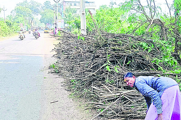 కలుపుగోలు వ్యాపారం 3