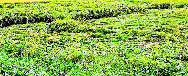 పెరిగిన చలి.. 2