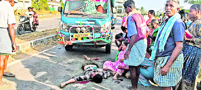 చేప పిల్లల పంపిణీ
2