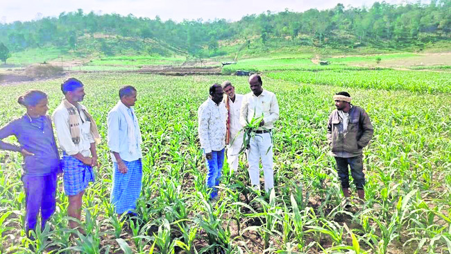 మహిళా సంఘాల సభ్యులకు సర్టిఫికెట్‌ల ప్రదానం2