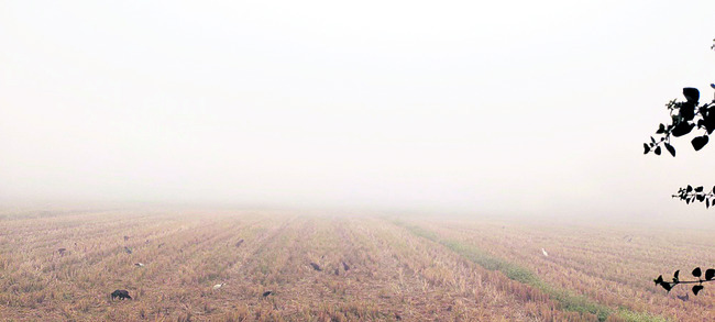 మంచు కురిసే వేళలో..2