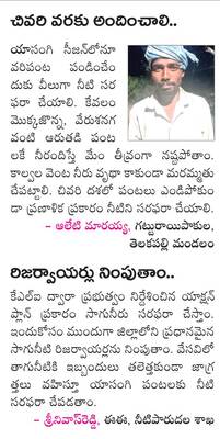 ఆరుతడికే సాగునీరు 2