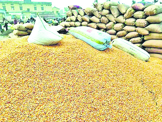 నిర్మల్‌1