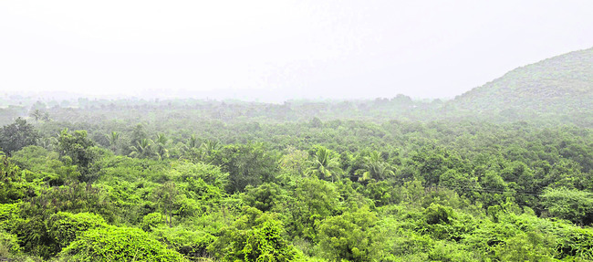 పెరిగిన చలి.. 3