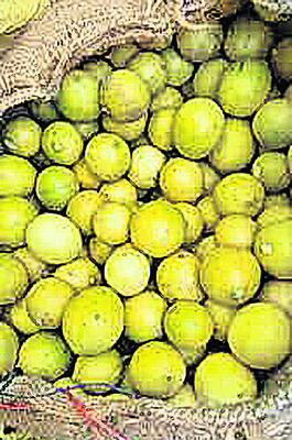 ఆకలి ఆరాటం.. బతుకు పోరాటం ! 6