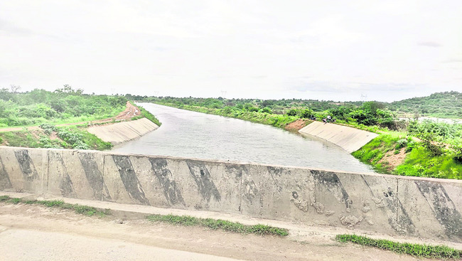 ఆరుతడికే సాగునీరు 1