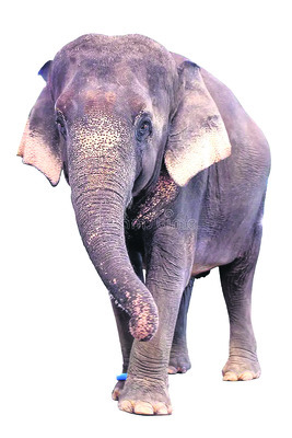 గురువారం శ్రీ 1 శ్రీ జనవరి శ్రీ 20268