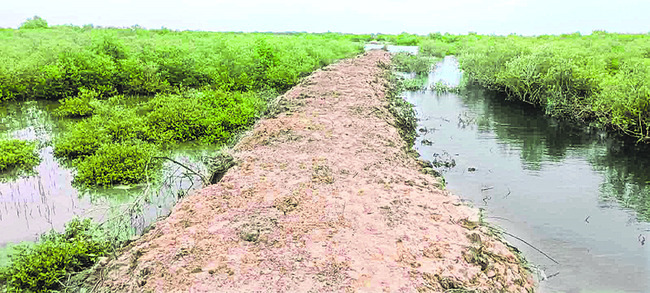 తీరంలో తమ్ముళ్ల భూదందా 1