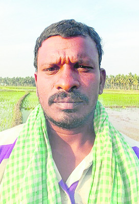 వెదజల్లుల్లో సీమసాగు..!1