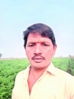 మొక్కజొన్న సాగుకే మొగ్గు1