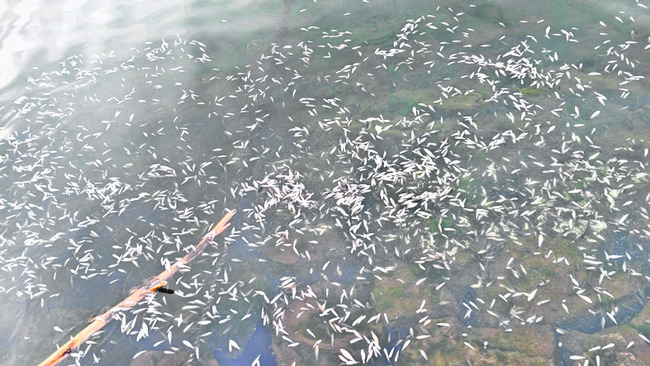 మరీ ఇంత మోసమా?2