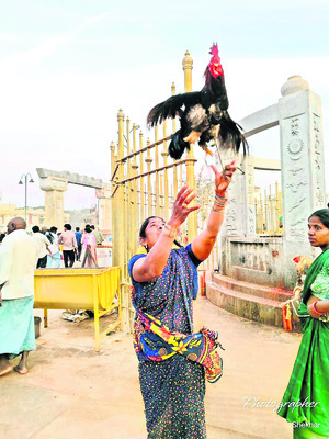 తరలివచ్చి మొక్కులు తీర్చి..
1